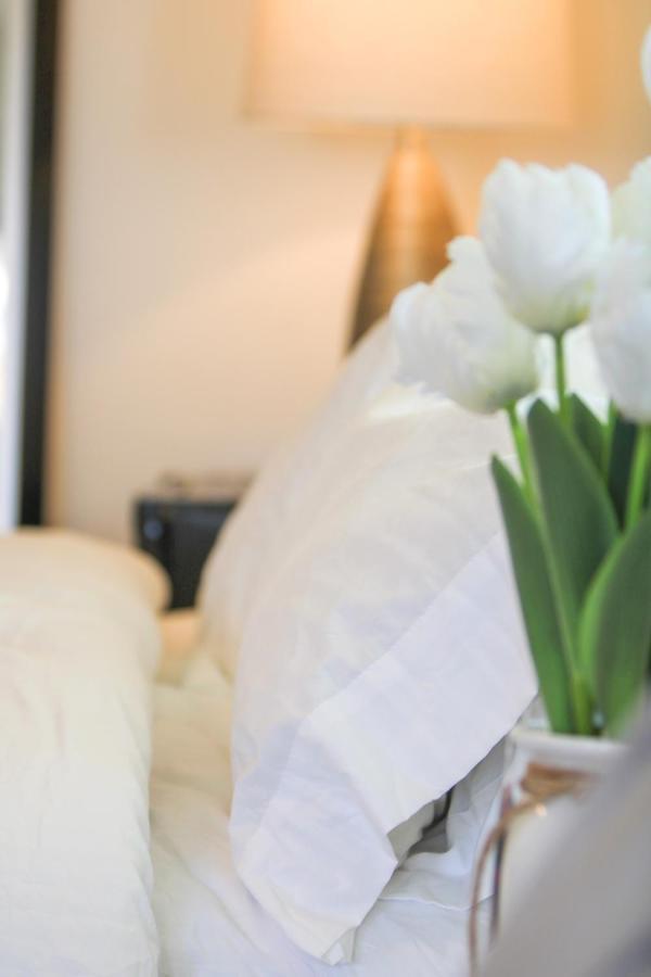 Near Clearwater And Tarpon Spring With Water View Apartment Holiday Ngoại thất bức ảnh