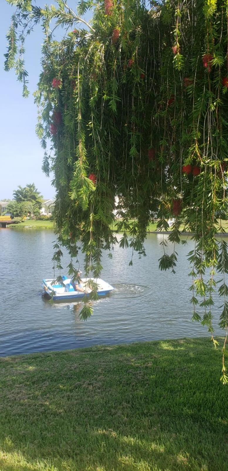 Near Clearwater And Tarpon Spring With Water View Apartment Holiday Ngoại thất bức ảnh